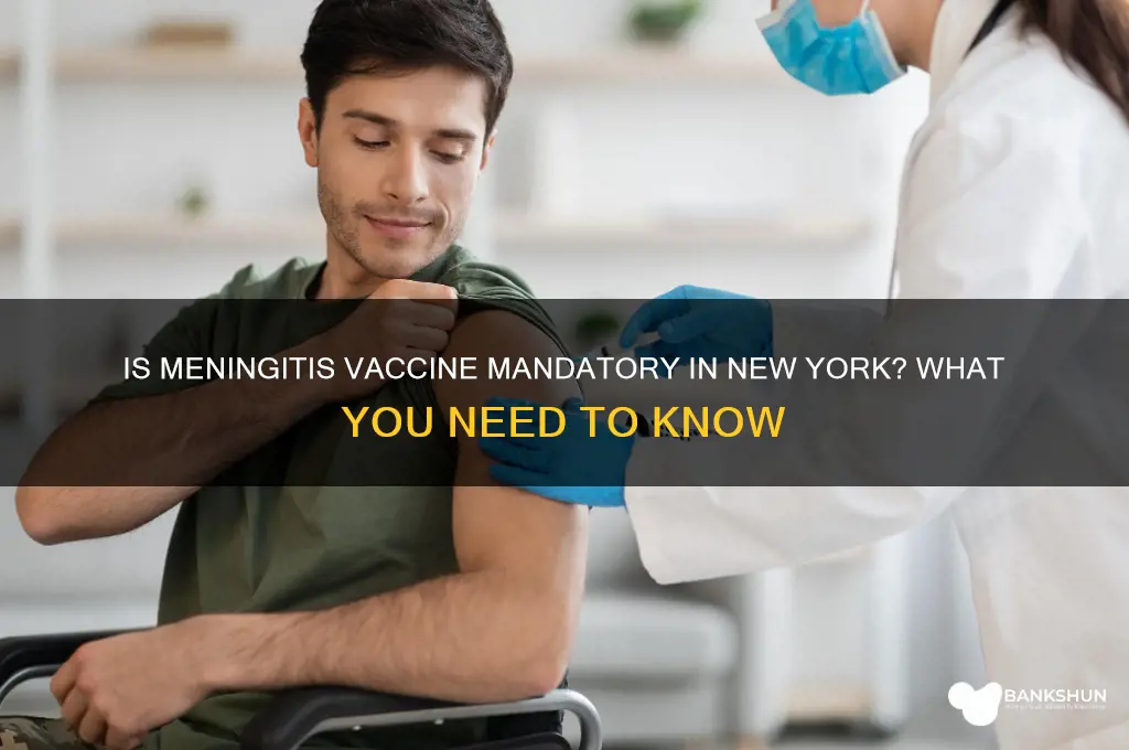 is meningitis vaccine mandatory in new york
