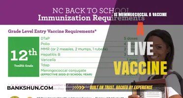 Is Meningococcal B Vaccine Live? Understanding Its Composition and Safety