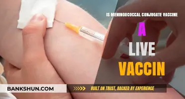 Is Meningococcal Conjugate Vaccine Live or Inactivated? Facts Explained