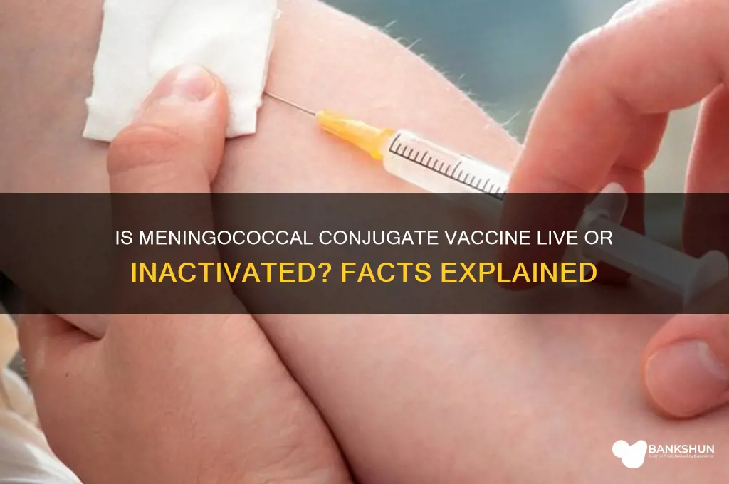 is meningococcal conjugate vaccine a live vaccin