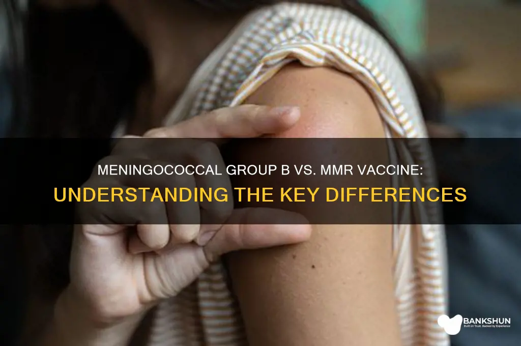 is meningococcal group b for mmr vaccine