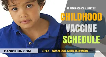 Meningococcal Vaccine: Is It Included in Childhood Immunizations?