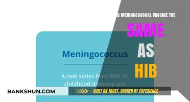 Meningococcal vs. Hib Vaccine: Understanding the Key Differences