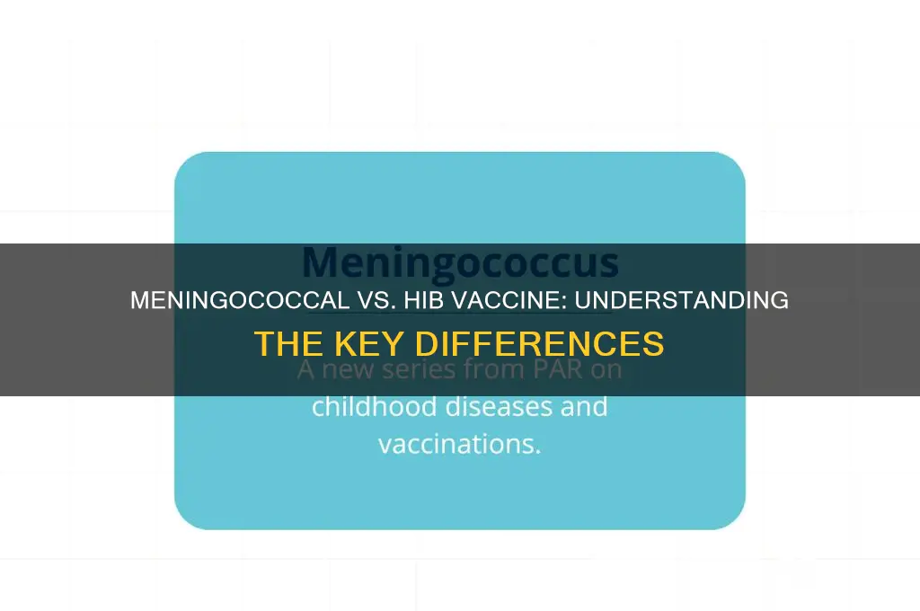 is meningococcal vaccine the same as hib