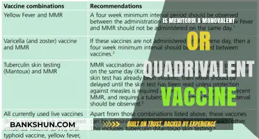 Understanding Menitorix: Monovalent or Quadrivalent Vaccine Classification Explained
