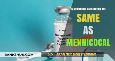Meningitis Vaccination vs. Meningococcal: Understanding the Key Differences