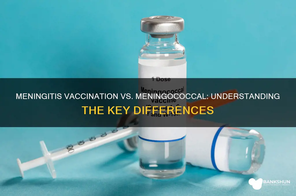 is mennigitis vaccination the same as mennicocal