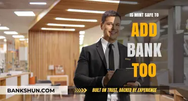 Is Mint Safe for Bank Connections? A Comprehensive Security Review