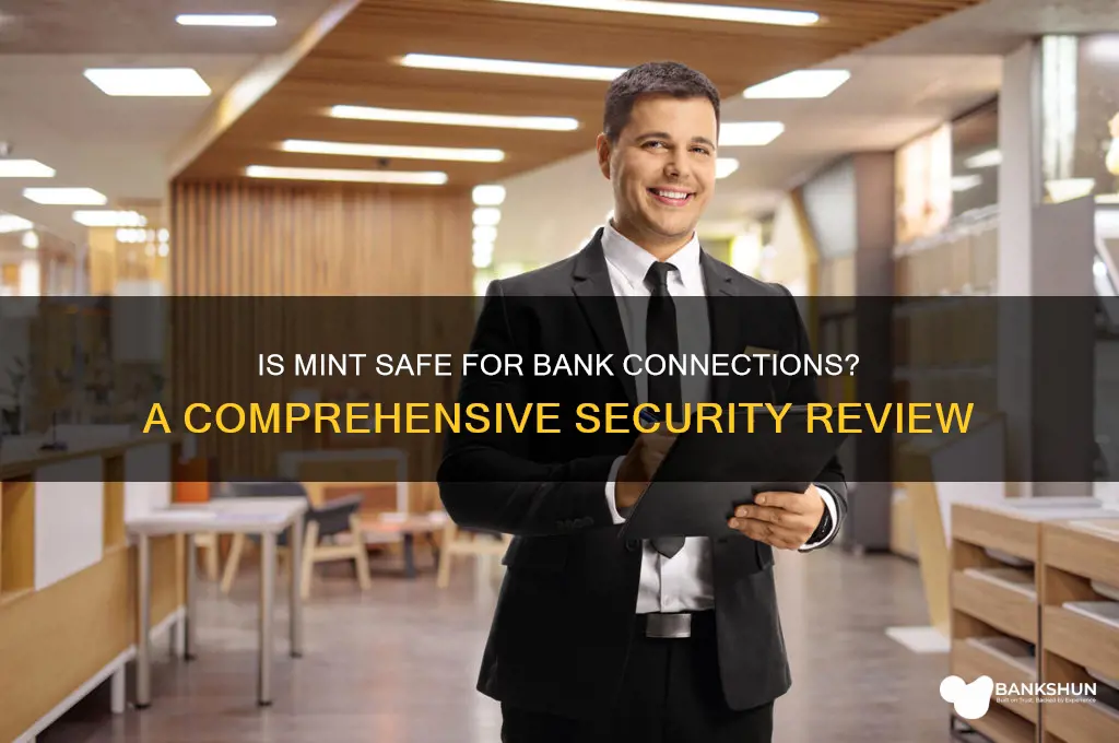 is mint safe to add bank too