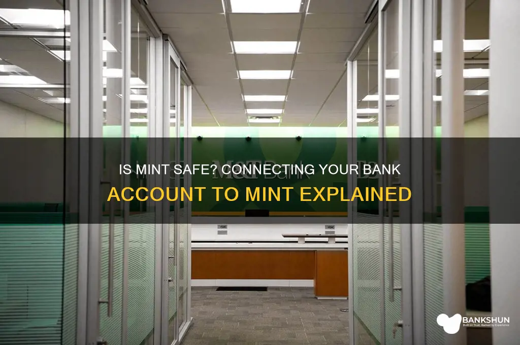 is mint safe to connect to bank