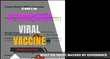 Is MMR a Live Attenuated Viral Vaccine? Understanding Its Mechanism