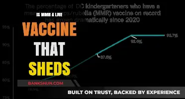 MMR Vaccine Shedding: Live Virus Concerns and Facts Explained