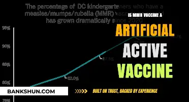 Is the MMR Vaccine an Artificial Active Immunization? Exploring the Facts