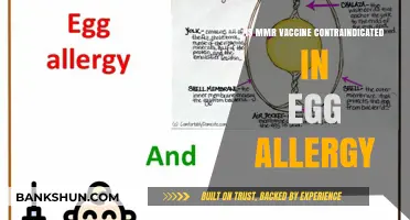 MMR Vaccine and Egg Allergy: Is It Safe to Administer?