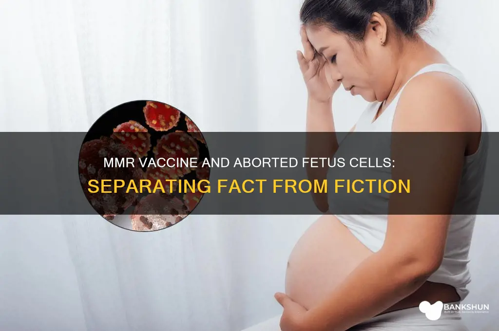 is mmr vaccine derived from aborted fetus