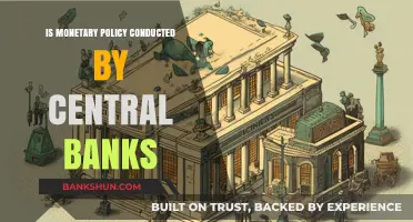 How Central Banks Shape Economies Through Monetary Policy Strategies