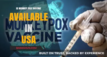 Monkeypox Vaccine Availability in the USA: What You Need to Know