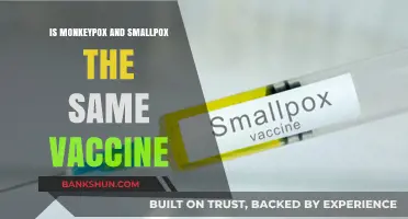 Monkeypox vs. Smallpox: Understanding the Shared Vaccine Connection