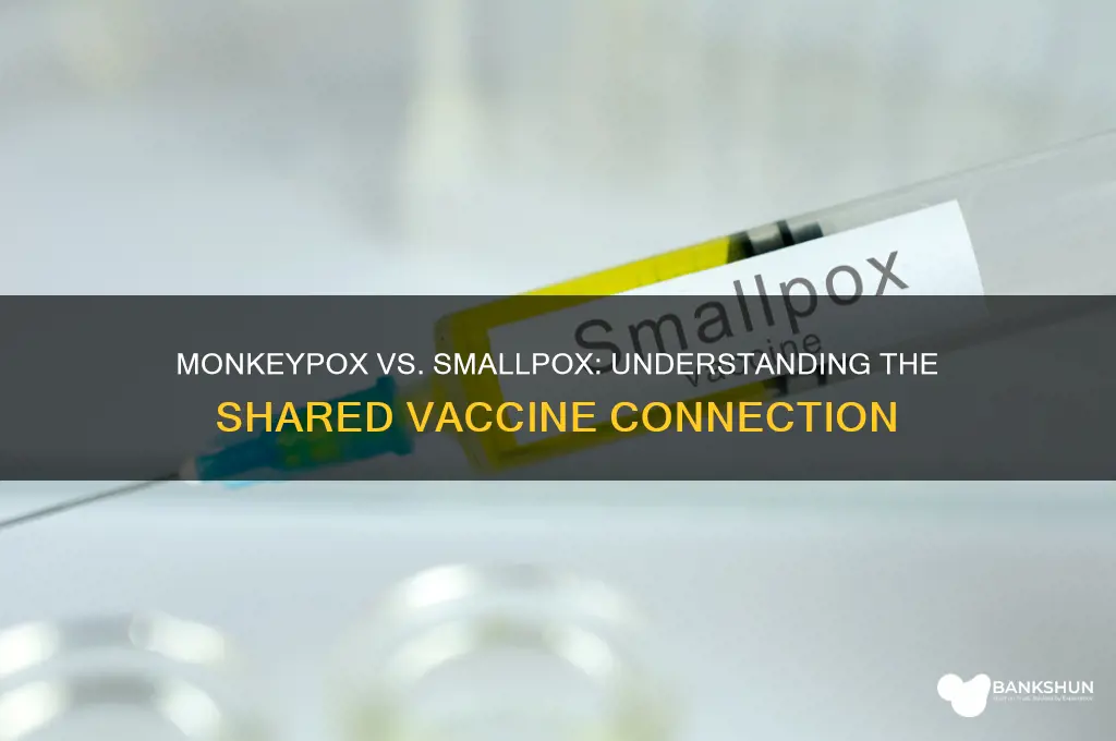 is monkeypox and smallpox the same vaccine