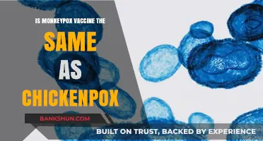 Monkeypox vs. Chickenpox: Are Their Vaccines the Same?
