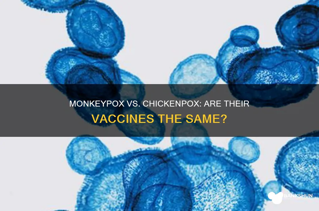 is monkeypox vaccine the same as chickenpox