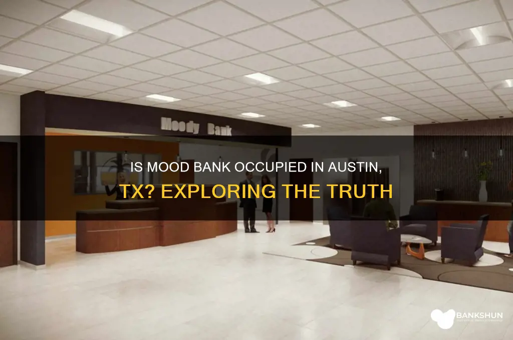 is mood bank occupied in austion tx