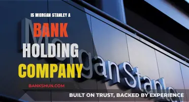 Is Morgan Stanley a Bank Holding Company? Unraveling Its Structure