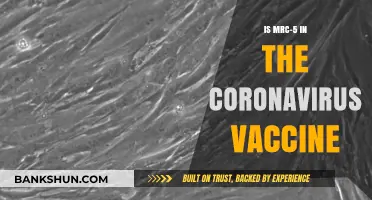 MRC-5 and COVID-19 Vaccines: Separating Fact from Fiction