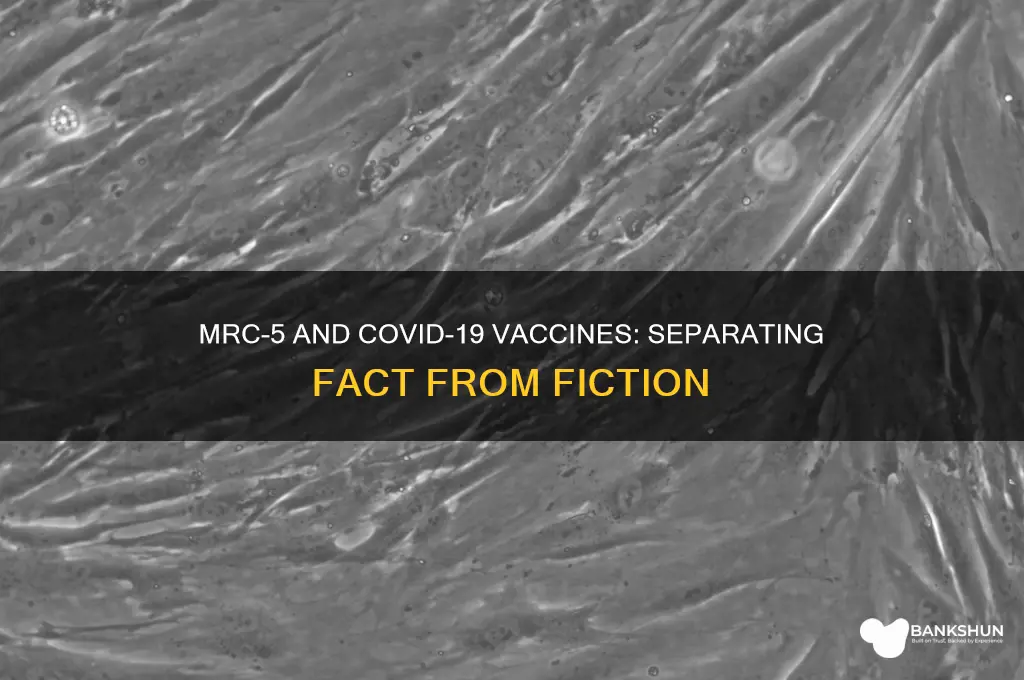 is mrc-5 in the coronavirus vaccine