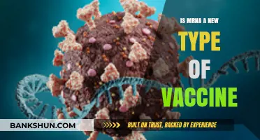 Understanding mRNA Vaccines: A Revolutionary New Approach to Immunization