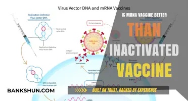 mRNA vs. Inactivated Vaccines: Which Offers Superior Protection and Safety?