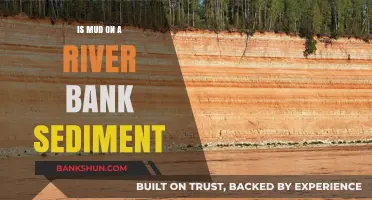 Is River Bank Mud Considered Sediment? Exploring the Science