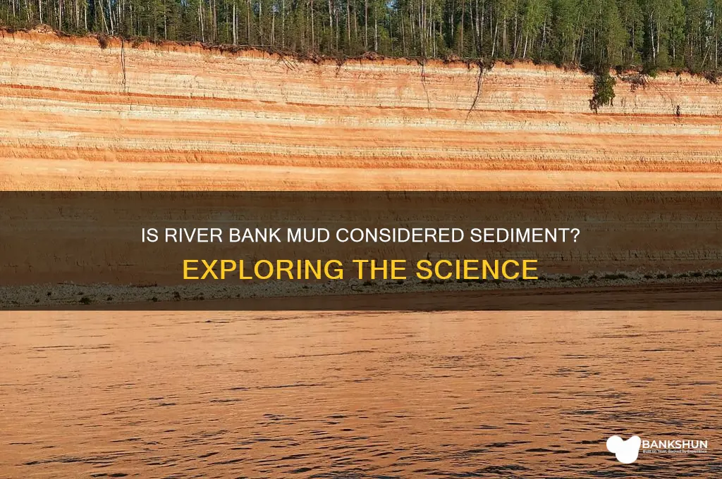 is mud on a river bank sediment