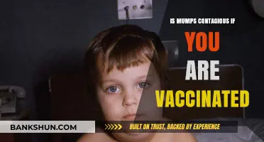 Vaccinated Against Mumps? Understanding Contagious Risks and Protection