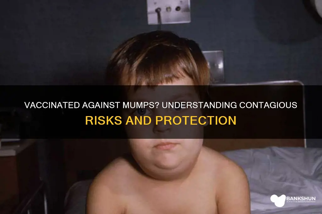 is mumps contagious if you are vaccinated
