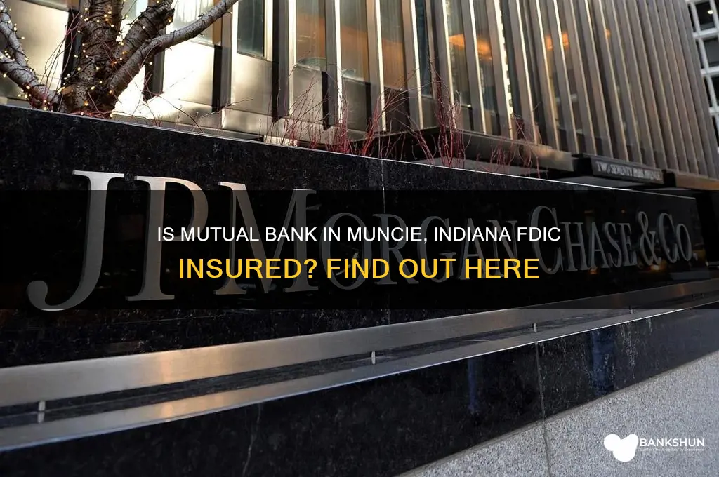is mutual bank fdic insured muncie indiana