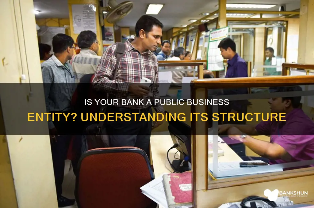 is my bank a public business entity