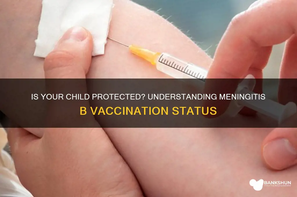 is my child vaccinated against meningitis b