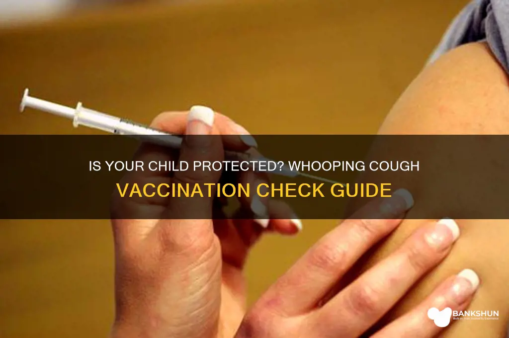 is my child vaccinated against whooping cough