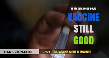 Childhood Polio Vaccine: Does It Still Protect Me as an Adult?