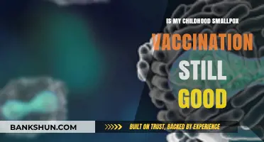 Childhood Smallpox Vaccination: Is Lifelong Immunity Still Effective Today?