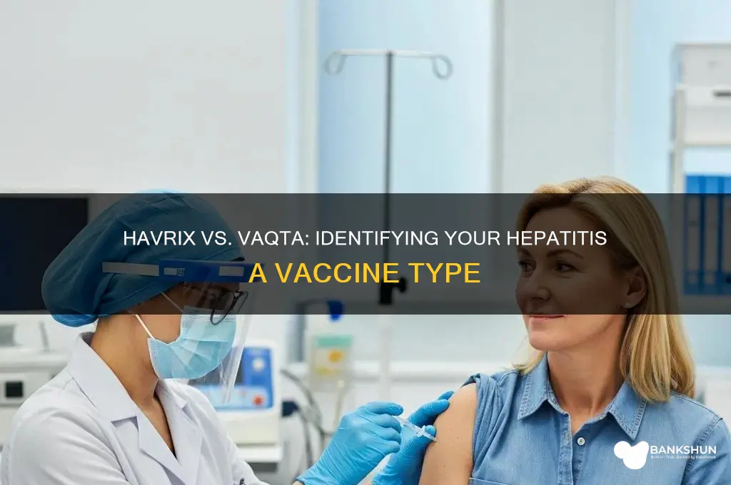 is my hepa vaccine havrix or vaqta