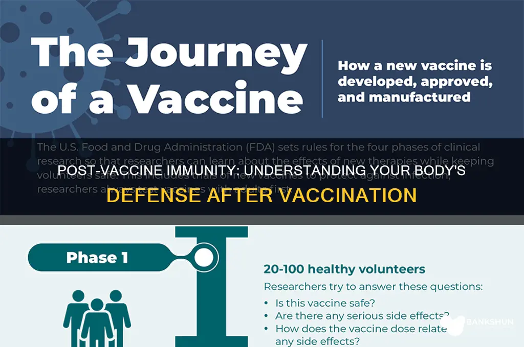 is my immune system weak after vaccine