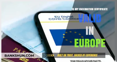 Is Your Vaccination Certificate Valid for European Travel?