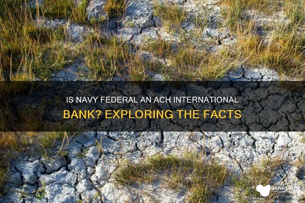 is navy federal a ach international bank