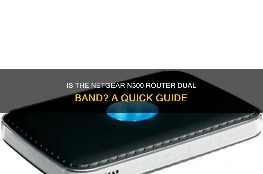 is netgear n300 router a dual bank