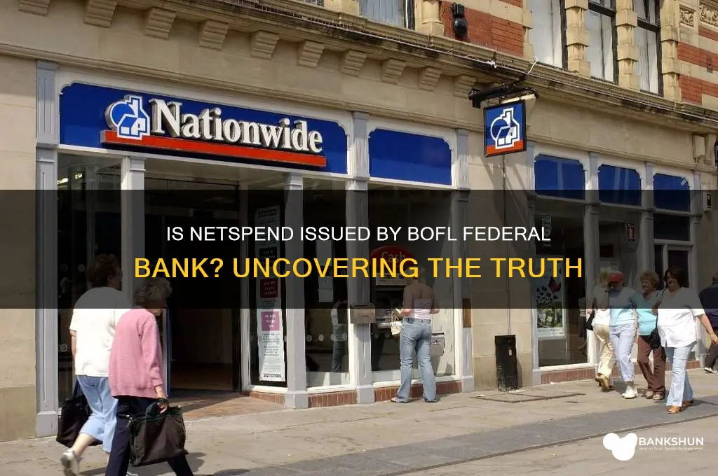 is netspend issued by bofl federal bank