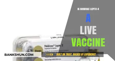 Understanding Nobivac Lepto 4: Is It a Live Vaccine?