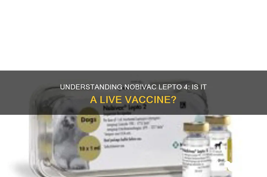 is nobivac lepto 4 a live vaccine