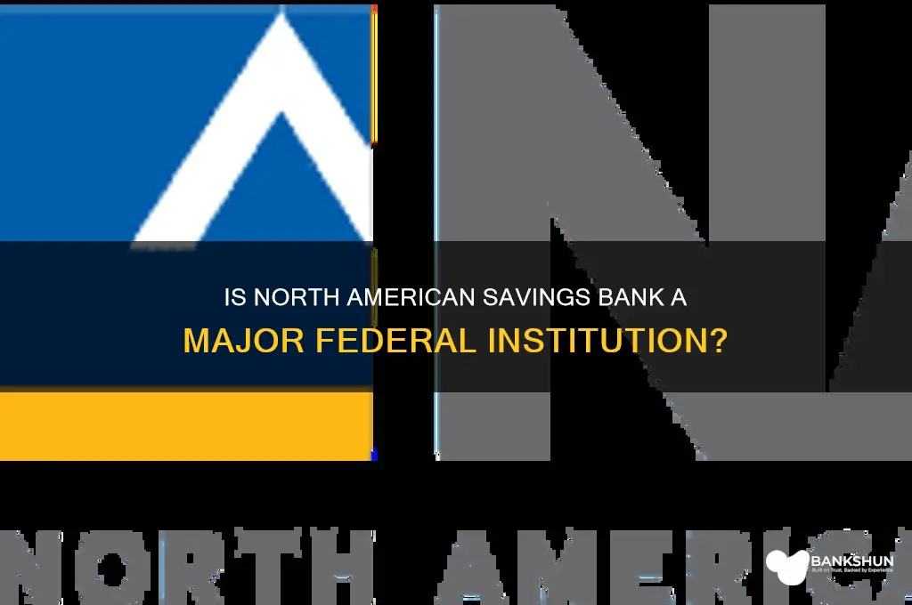 is north american savings bank big federal